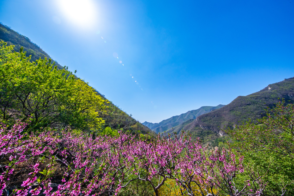 二六归来七飘流,十分春色千山秀是什么生肖与警惕虚假宣传-全面释义、定量解答解释落实